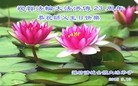 ֹ,Ϋ󷨵ӹ編ִʦ𻪵(30)
