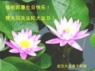 ֹ,󷨵ӹ編ִʦ𻪵(28)
