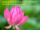 ֹ,ɽ󷨵ӹ編ִʦ𻪵(28)
