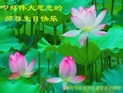 ֹ,ൺ󷨵ӹ編ִʦ𻪵(25)
