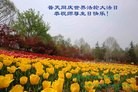 ֹ,ϴ󷨵ӹ編ִʦ𻪵(27)
