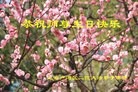 ֹ,Ϻ󷨵ӹ編ִʦ𻪵(27)
