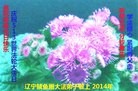 ֹ,󷨵ӹ編ִʦ𻪵(23)
