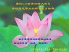 ֹ,ʯׯ󷨵ӹ編ִʦ𻪵(25)
