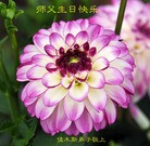 ���ֹ�,��ľ˹�󷨵��ӹ������編�ִ�����ʦ�𻪵�(18��)
