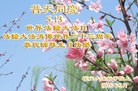 法轮功,湖南大法弟子恭贺世界法轮大法日暨师尊华诞(24条)
