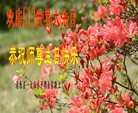 ֹ,󷨵ӹ編ִʦ𻪵(20)
