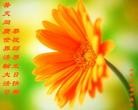 ֹ,󷨵ӹ編ִʦ𻪵(20)
