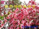 ֹ,ൺ󷨵ӹ編ִʦ𻪵(24)
