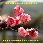 ���ֹ�,�������󷨵��ӹ������編�ִ�����ʦ�𻪵�(21��)
