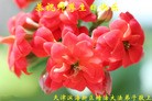 ֹ,󷨵ӹ編ִʦ𻪵(25)
