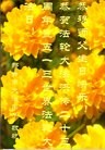 ֹ,ӱ󷨵ӹ編ִʦ𻪵(25)
