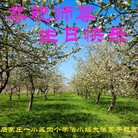 ֹ,ʯׯ󷨵ӹ編ִʦ𻪵(29)
