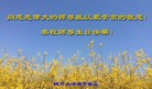 ֹ,ݴ󷨵ӹ編ִʦ𻪵(26)
