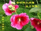 ֹ,󷨵ӹ編ִʦ𻪵(28)
