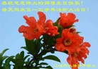 ֹ,ʡ󷨵ӹ編ִʦ𻪵(24)

