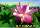 ֹ,ݴ󷨵ӹ編ִʦ𻪵(28)

