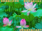 ֹ,ϴ󷨵ӹ編ִʦ𻪵(22)
