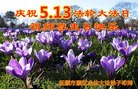 ֹ,󷨵ӹ編ִʦ𻪵(21)
