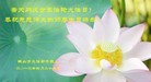 ֹ,󷨵ӹ編ִʦ𻪵(22)

