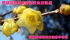 ֹ,󷨵ӹ編ִʦ𻪵(22)
