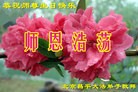ֹ,󷨵ӹ編ִʦ𻪵(22)
