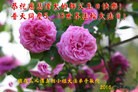 ֹ,󷨵ӹ編ִʦ𻪵(21)
