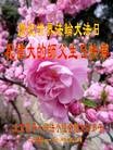 ֹ,󷨵ӹ編ִʦ𻪵(23)
