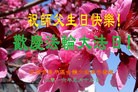 ֹ,󷨵ӹ編ִʦ𻪵(22)
