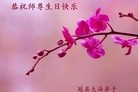 ֹ,ɽ󷨵ӹ編ִʦ𻪵(26)
