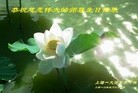 ֹ,Ϻ󷨵ӹ編ִʦ𻪵(22)
