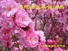 ֹ,󷨵ӹ編ִʦ𻪵(25)
