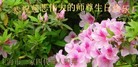 ֹ,Ϻ󷨵ӹ編ִʦ𻪵(22)
