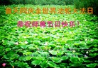 ֹ,ϴ󷨵ӹ編ִʦ𻪵(27)
