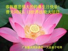 ֹ,㶫󷨵ӹ編ִʦ𻪵(23)
