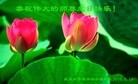 ֹ,󷨵ӹ編ִʦ𻪵(23)
