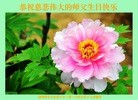 ֹ,㶫󷨵ӹ編ִʦ𻪵(23)
