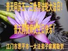 ֹ,㶫󷨵ӹ編ִʦ𻪵(23)
