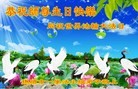 ֹ,󷨵ӹ編ִʦ𻪵(22)
