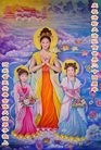 ֹ,󷨵ӹ編ִʦ𻪵(25)
