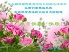 ֹ,ɽ󷨵ӹ編ִʦ𻪵(26)
