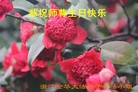 ֹ,㽭󷨵ӹ編ִʦ𻪵(27)
