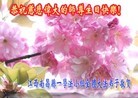 ֹ,󷨵ӹ編ִʦ𻪵(23)
