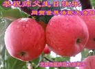 ֹ,󷨵ӹ編ִʦ𻪵(24)
