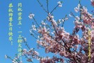 ֹ,󷨵ӹ編ִʦ𻪵(26)
