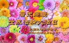 ֹ,󷨵ӹ編ִʦ𻪵(24)
