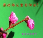 ֹ,󷨵ӹ編ִʦ𻪵(21)
