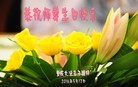 ֹ,󷨵ӹ編ִʦ𻪵(21)
