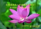 ֹ,ൺ󷨵ӹ編ִʦ𻪵(21)
