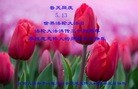 ֹ,󷨵ӹ編ִʦ𻪵(26)
